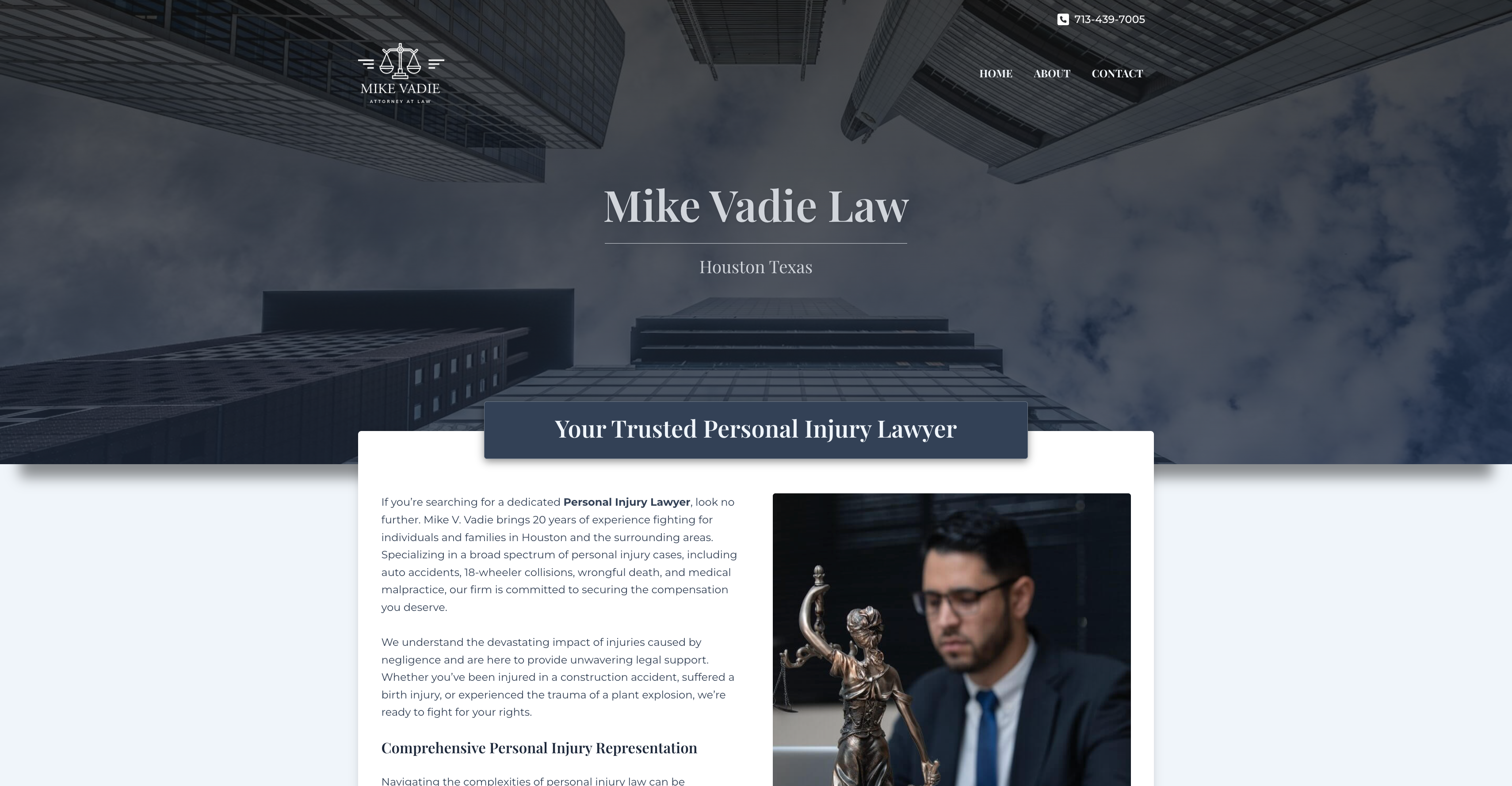 Mike Vadie Law Hero Section