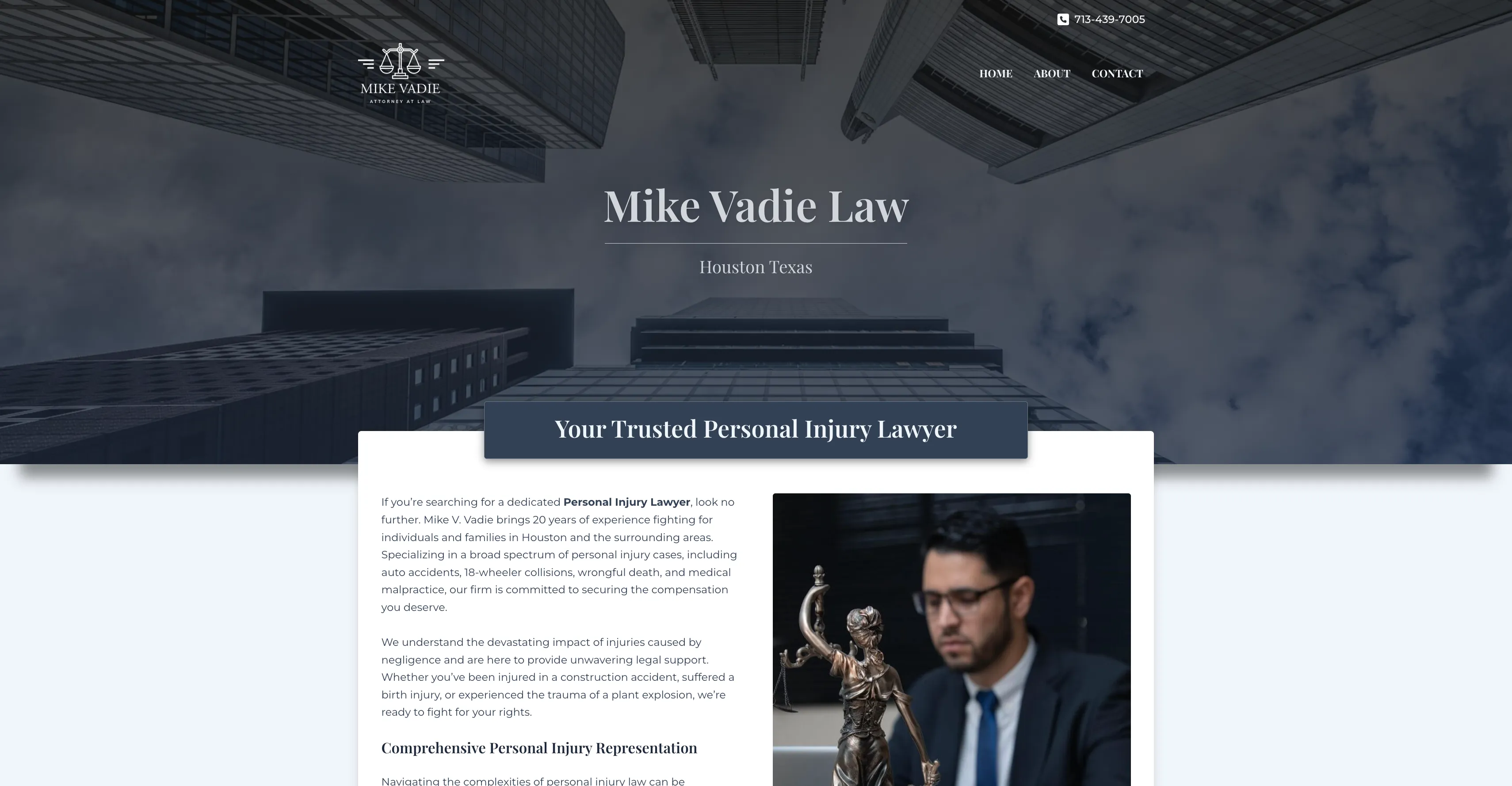 Mike Vadie Law Hero Section